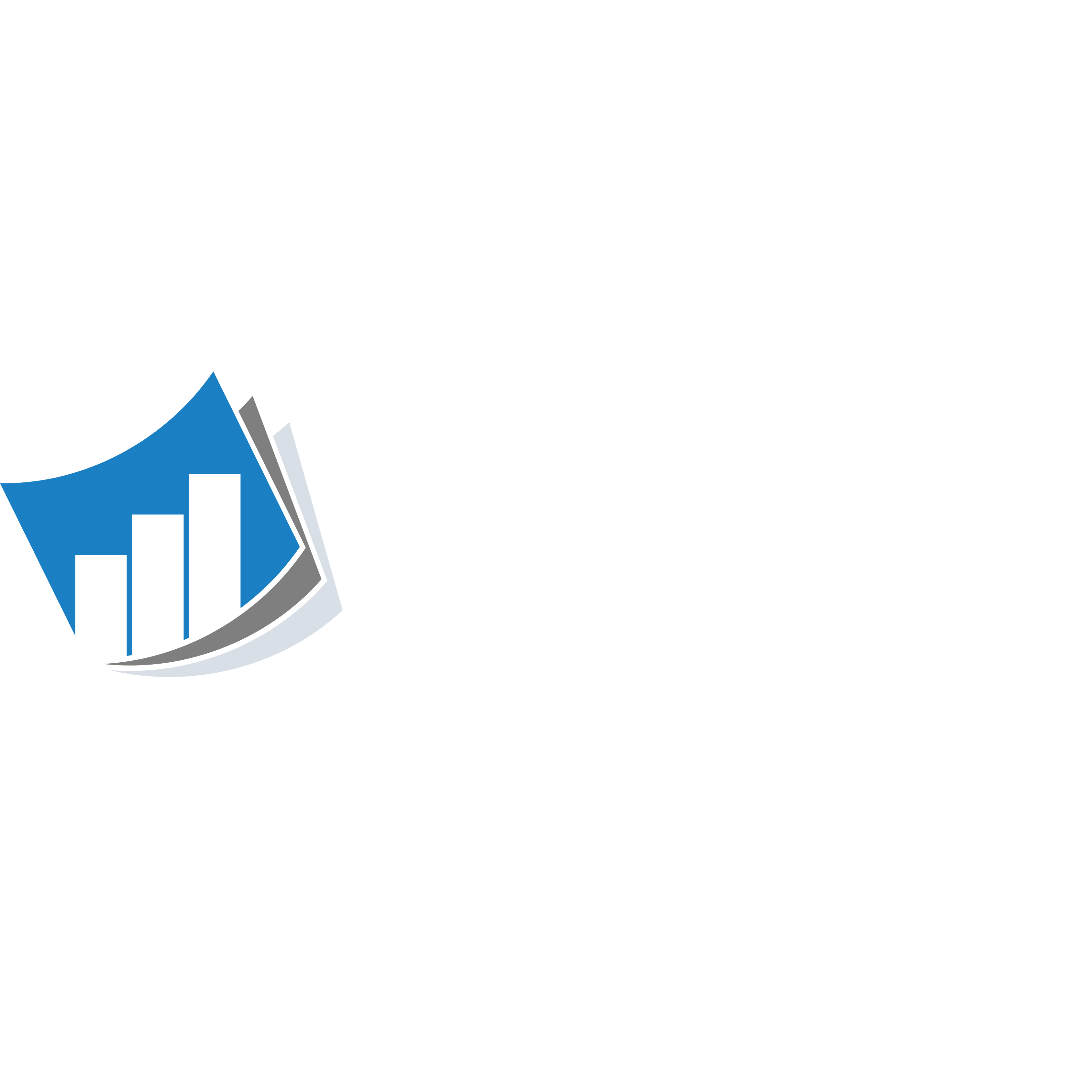 BuWise Logo